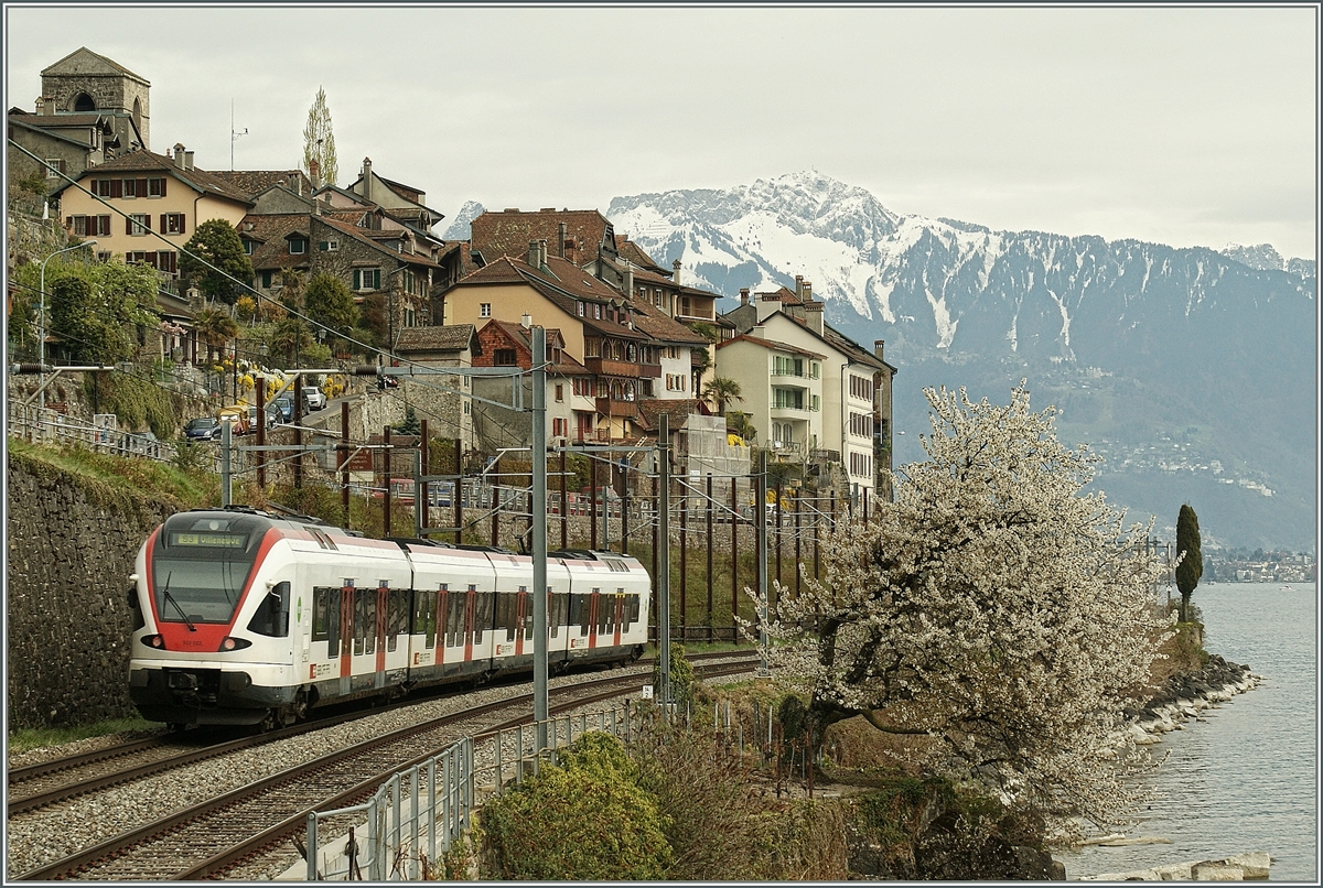 Frühling in St-Saphorin: Ein Flirt auf dem Weg nach Villeneuve.
9. April 2012