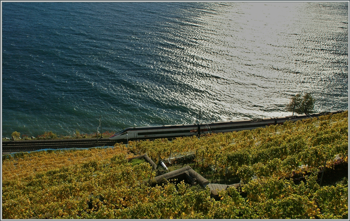 Herbst im Lavaux: Ein SBB ETR auf dem Weg nach Genève kurz vor nach Rivaz.
28. Okt. 2014