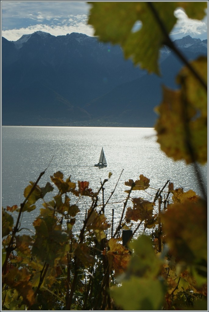 Herbstzauber im Lavaux.
Nov. 2013