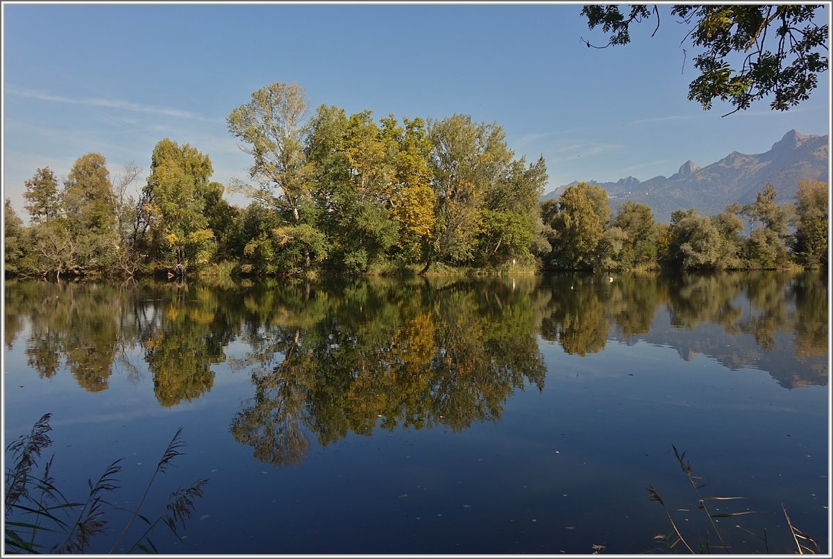 Herbstzeit am Rhone Delta, Genfersee.
(09.10.2018)