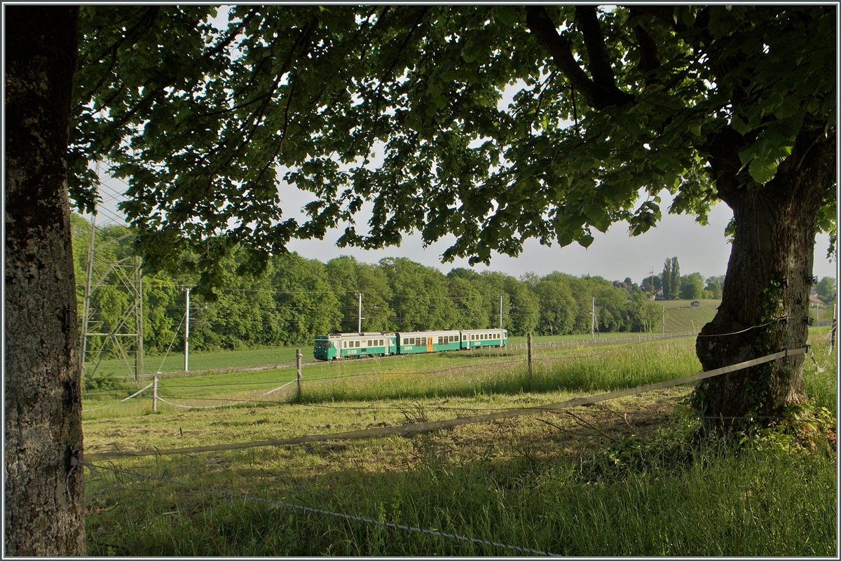 Idyllische, Baum und Strommasten geschmückte Landschaft an der BAM Strecke zwischen Chigny und Vufflens-le-Château.
12. Mai 2015