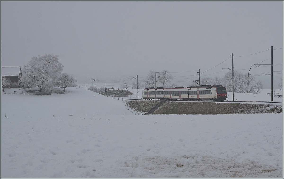In weiten Kurven windet sich das Trasse der Strecken von Romont nach Vuisternens-devant- Romont, um die gut achzig Höhenmeter zu überwinden. Doch dies geht im Nebel des dunklen Wintertages unter, nur knapp lässt sich ein SBB RBDe 560  Domino  erkennen, die nun im Wechsel mit den TPF Flirts RABe 527 auf der Strecken Bulle - Düdigen und Bulle - Bern zum Einsatz kommen. Einige SBB RABE 560 tragen sogar das TPF  Farbkleid ; leider habe ich bisher noch keinen fotografieren können.

22. Dezember 2021