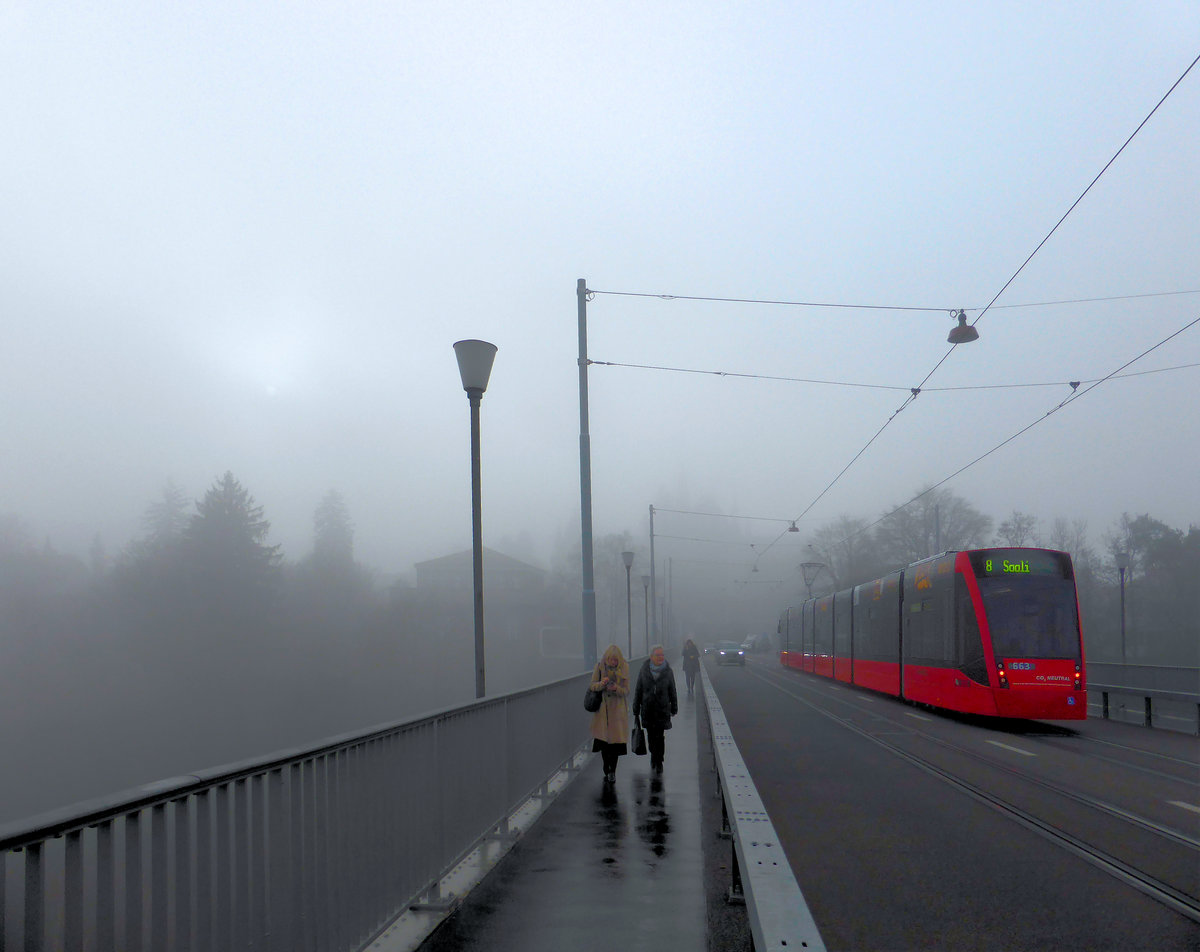 Kirchenfeldbrücke, 3.Januar 2020. Tramwagen 663. 