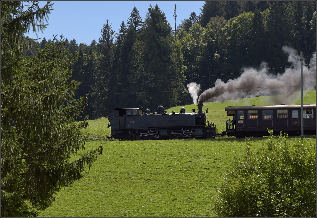 Mit der E 206 nach Tavannes. La Traction Sonderzug bei Les Rottes. August 2019.