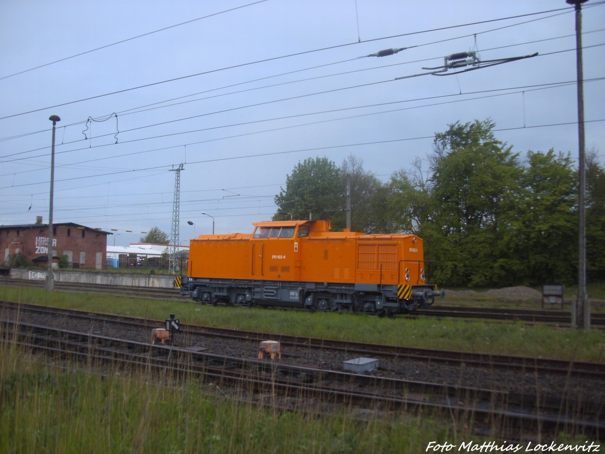 MTEG 293 022-0 abgestellt im Bahnhof Bergen auf R�gen am 9.5.14