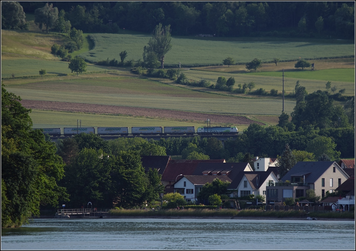 Nicht trivial f�r den Fotografen, w�hrend der Coronakrise Fotos im jeweiligen Nachbarland zu schiessen, aber auch nicht v�llig unm�glich. G�terzug mit Re 475 bei Mumpf. Mai 2020.