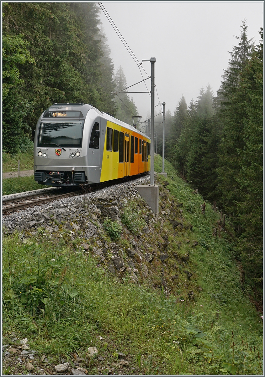 Nun sind die BLM Be 4/6 im Planbetrieb zu sehen. Zur Zeit fahren sie mit den aktuellen Triebwagen Be 4/4 21, 23 und 31 im Mischbetrieb, was fototechnisch gar nicht so einfach zu zeigen ist. Der BLM Be 4/6 102  Mönch  ist als R66 3747 von der Grütschalp nach Mürren im nebligen Wald schon fast am Ziel seiner Fahrt. 

23. Juli 2024