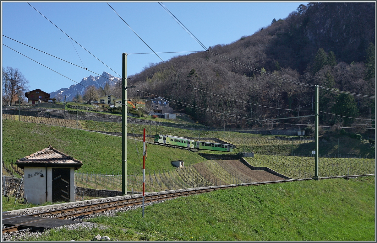Oberhalb von Aigle ist ein ASD Regionalzug auf dem Weg nach Les Diablerets. 

30. März 2021