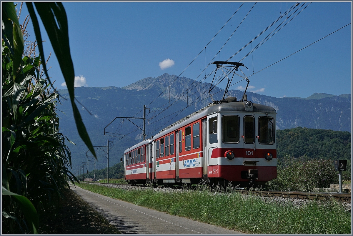 Obwohl vor einiger Zeit von Eisenbahnfreunden verabschiedet, erfreut sich der AOMC Be 4/4 101 mit seinem Bt 132 weiterhin an Planfahrten zwischen Aigle und Monthey.
Bei Villy, den 26. August 2016