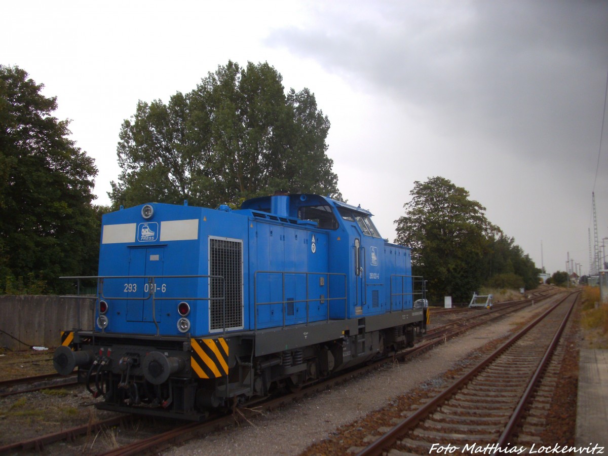 PRESS 293 021-6 abgestellt im Bahnhof Bergen auf R�gen am 23.8.14