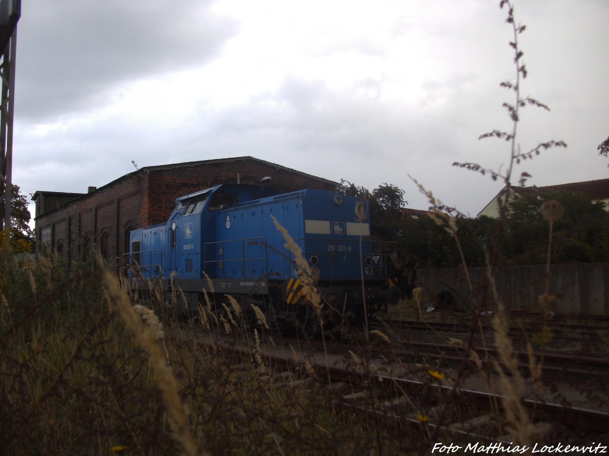 PRESS 293 021-6 abgestellt im Bahnhof Bergen auf R�gen am 23.8.14