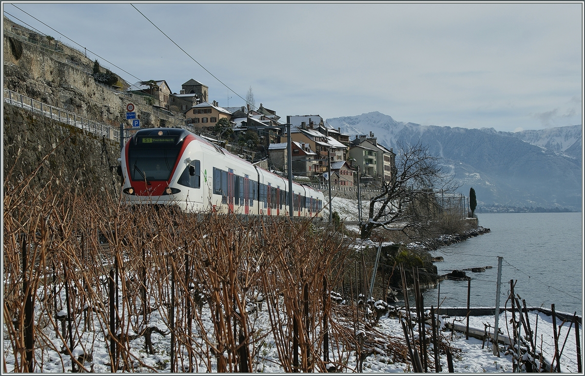 Schnee im Lavaux ist eher selten. 
Ein Flirt beim winterlichen St-Saphorin am 8. Feb. 2013