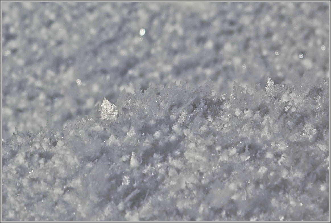 Schnee
(03.02.2015)