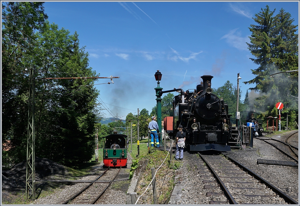 Schweizer Dampf Festival 2019  bei der Blonay-Chamby Bahn: Während die Blonay-Chamby BFD HG 3/4 N° 3 für die Fahrt nach Vevey vorbereitet wird, fährt die kleine G 2/2 FD mit einem NStCM Personenwagen vorbei.

8. Juni 2019  
 