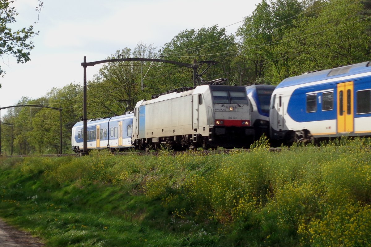 Soloauftritt f�r 186 107 bei Tilburg am 24 April 2019.