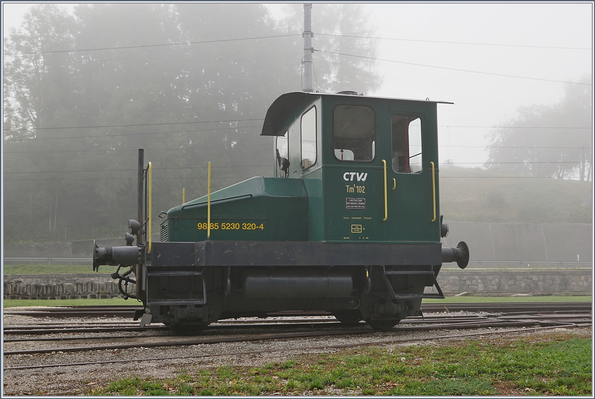 Spitzmaus in Grün und mit UIC Nummer: der CTVJ Tm I 102 (UIC 98 85 5230 320-4) steht in Le Pont. 
28. August 2018