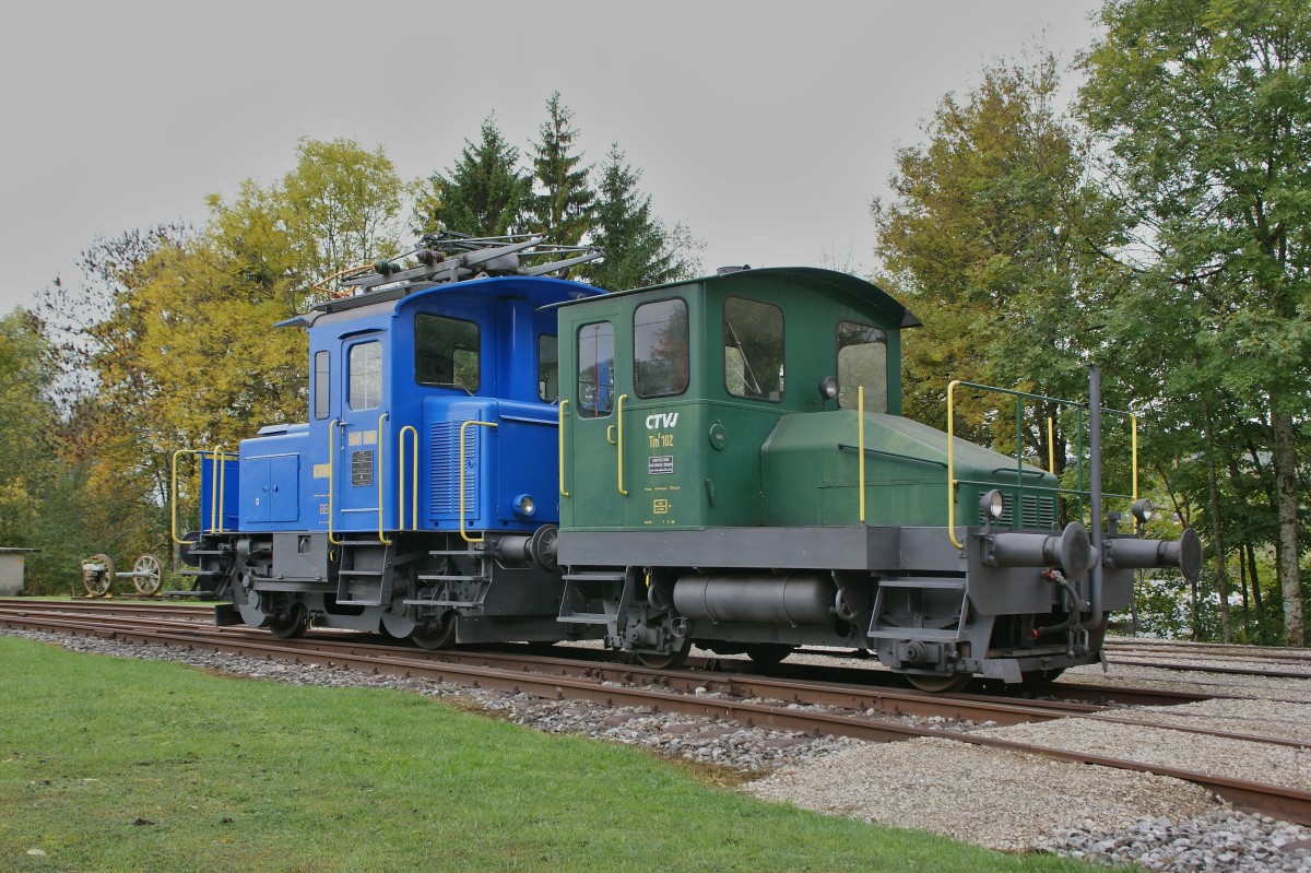 Spitzmaus in Grün: Tm I 102 und Tem II 288 in Le Pont. 
11. Okt. 2012