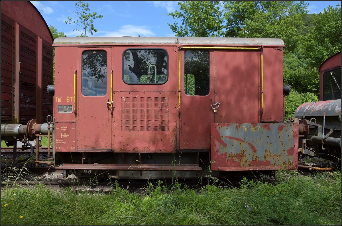 Tm II 617 aus der Tm II-Sammlung des Vereins Etzwilen-Singen. Hemishofen, Juni 2019.