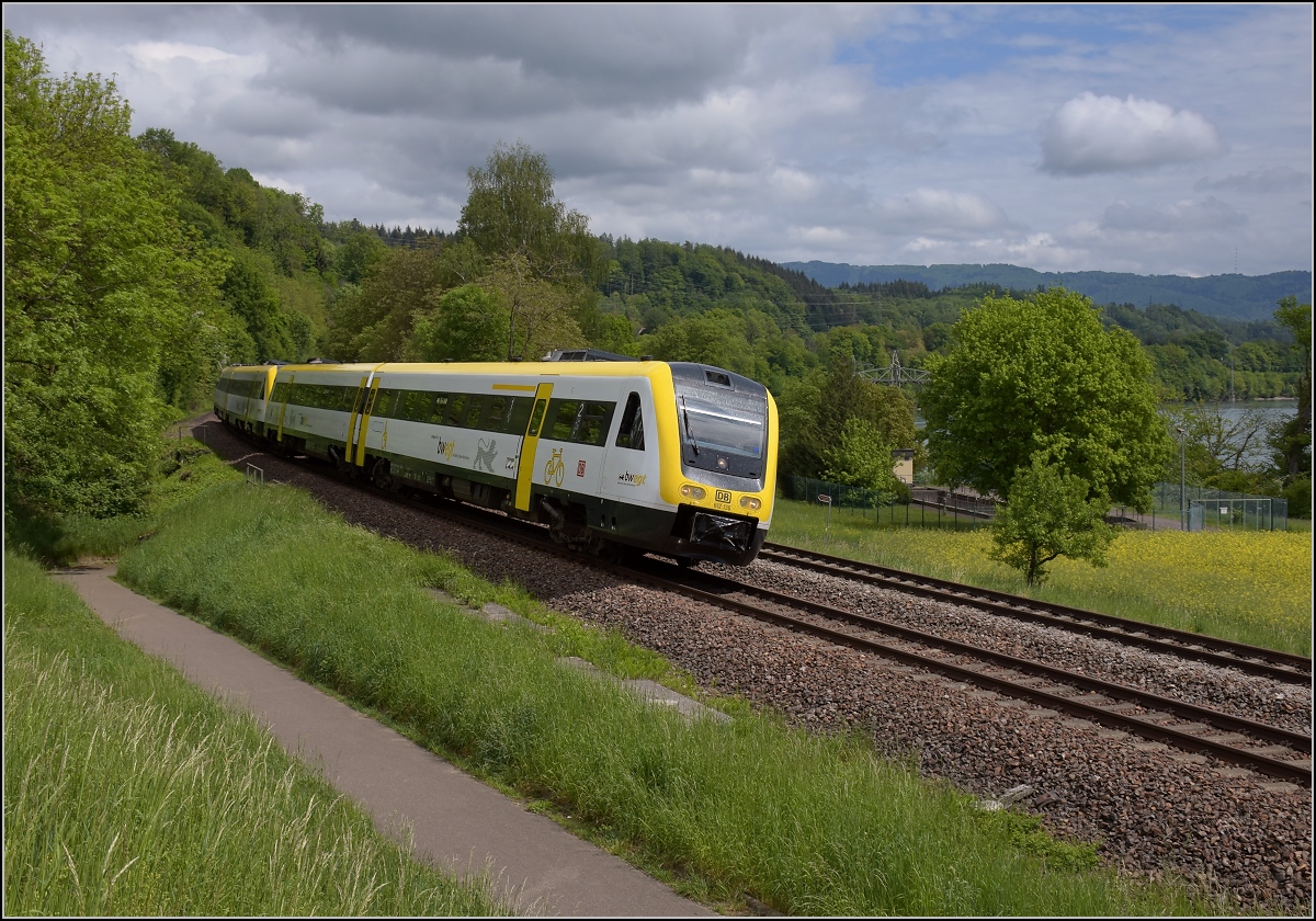 Traktionswandel am Hochrhein, der einzigen  Schweizer Dieselstrecke , die Schaffhausen mit Basel verbindet, sowie auch Rheinfelden AG, Stein-Säckingen.

612 136 und 612 112 im BW-Design bei Beuggen zwischen den nahegelegenen Kraftwerken Schwörstadt und Rheinfelden. Mai 2018. 