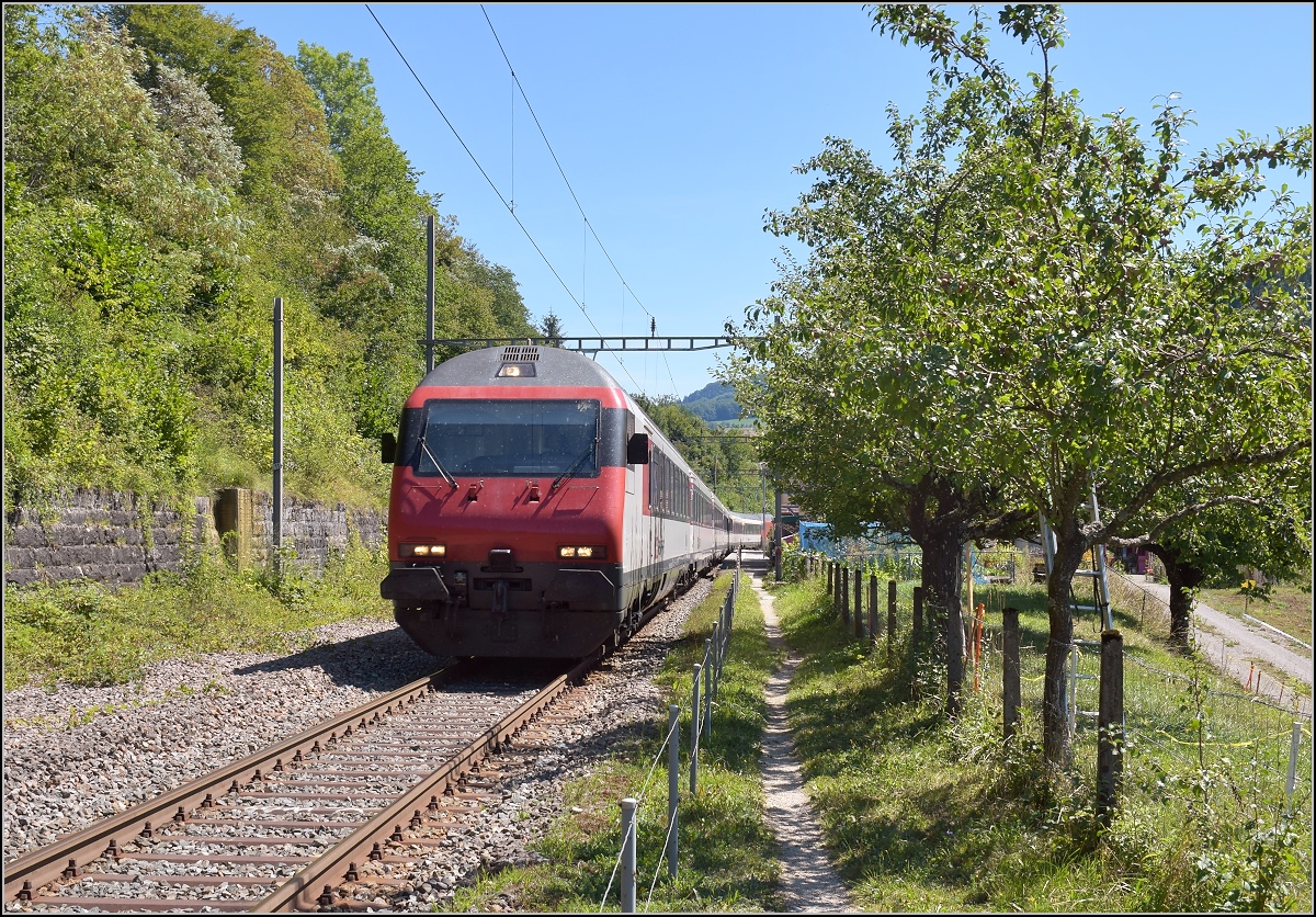 Umleiterverkehr auf dem L�ufelfingerli. Den IC mit EW IV schiebt Re 460 021-9, wie im anderen Bild zu sehen. Sommerau, August 2018.