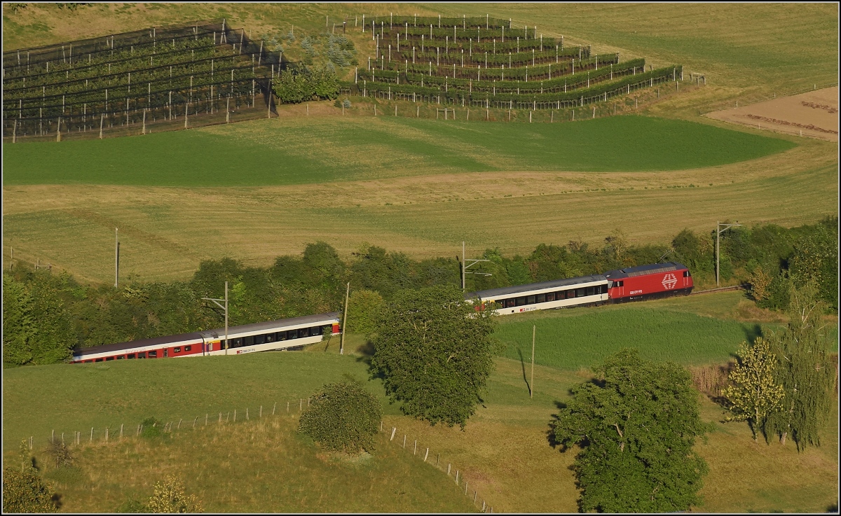 Umleiterverkehr auf dem Läufelfingerli. Ein IC mit EW IV verschwindet im Einschnitt. Thürnen, August 2018.