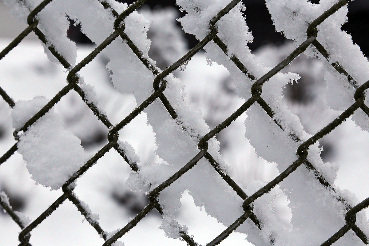 Winter in Herdorf....
Schnee an einem Maschendrahtzaun, Herdorf, Ziegenberg am 02.02.2015