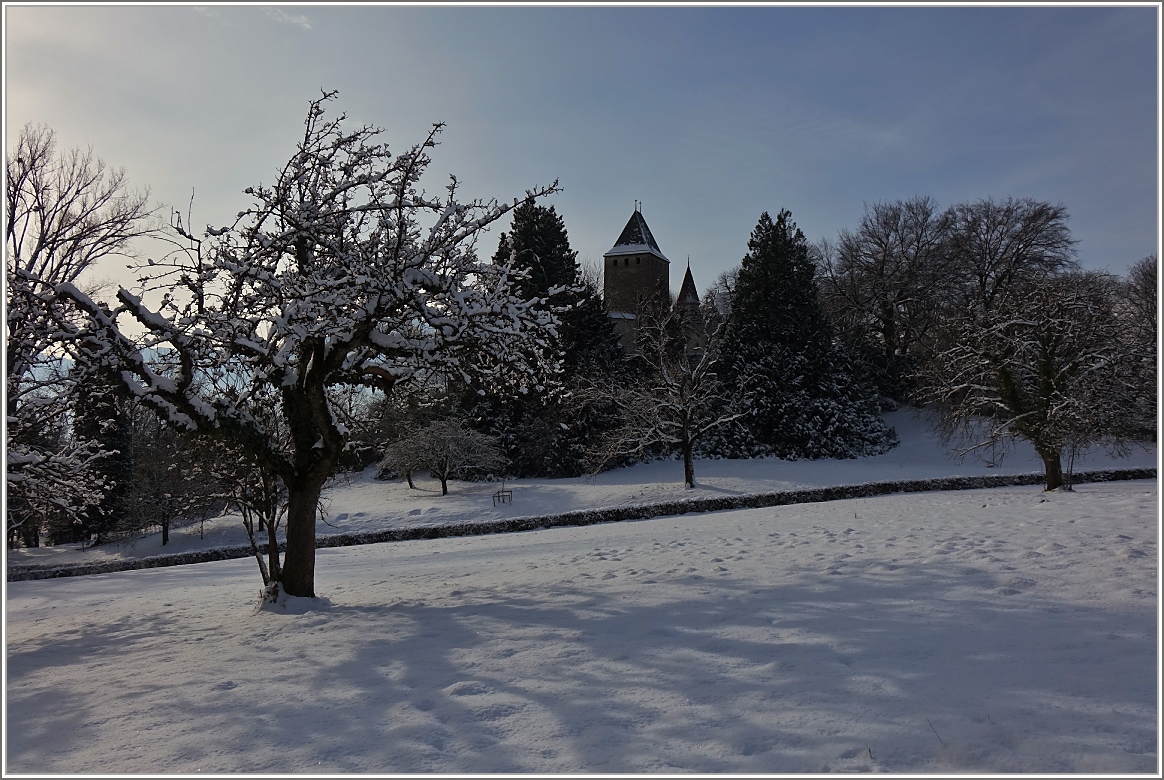 Winterliches Ambiente beim Château de Blonay
(30.12.2014)