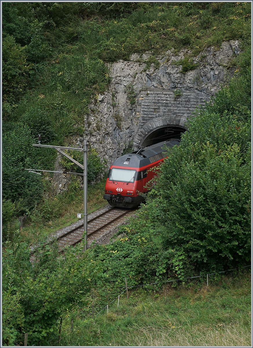 wischen Läufelfingen und Buckten entdeckte ich diese Fotostelle die zweifelsfrei kaum genutzt wurde, standen doch am Wegesrand jede Menge reife Brombeeren; nun, das Bild ist im Kasten und die Brombeeren im Bauch...
Einen IR Richtung Basel schiebend verschwindet die SBB Re 460 084 im 263 Meter langen Buckten Tunnel.
7. August 2018 