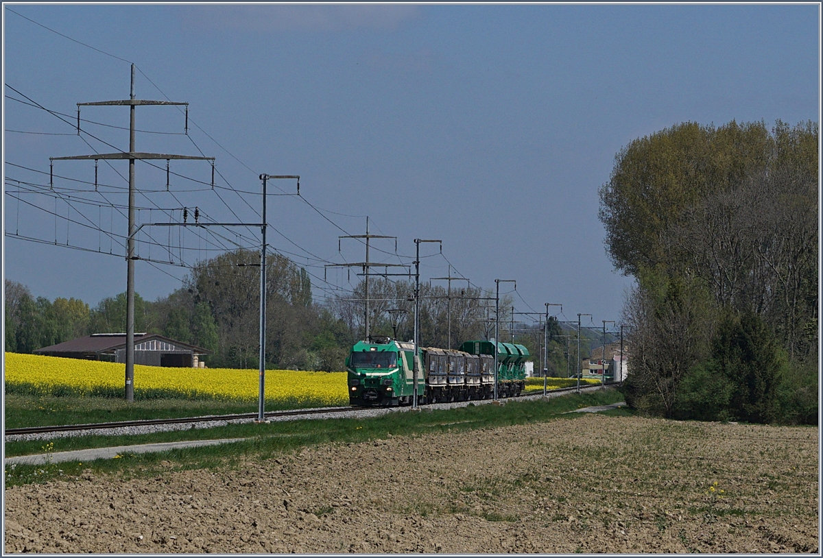 Zwei BAM Ge 4/4 mit ihre Kieszug von Apples nach Gland (mit Spurwechsel in Morges) bei Chigny.
10. April 2017