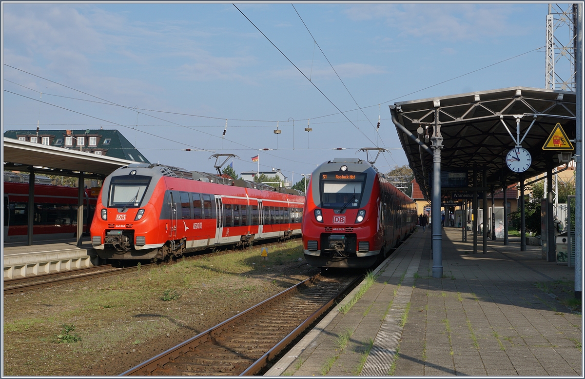 Zwei ET 442 warten in Warnemünde au ihre Abfahrt.
29. Sept 2017
