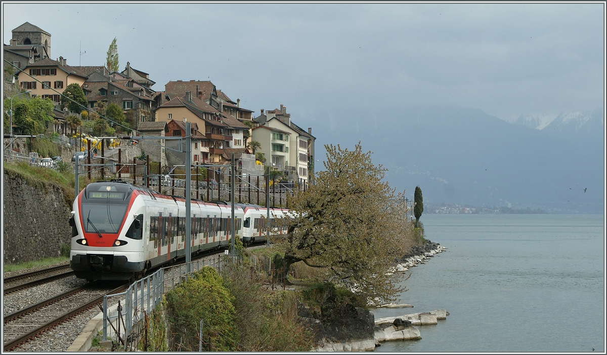Zwei Flirts nach Allaman bei St-Saphorin.
16. April 2012