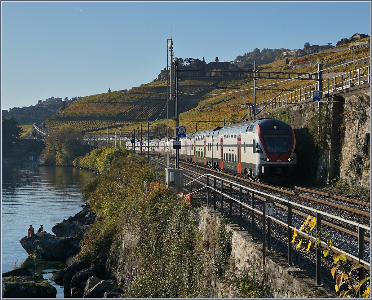 Zwei SBB KISS RABe 511 nach Vevey zwischen Rivaz und St-Saphorin.

25. Jan. 2019