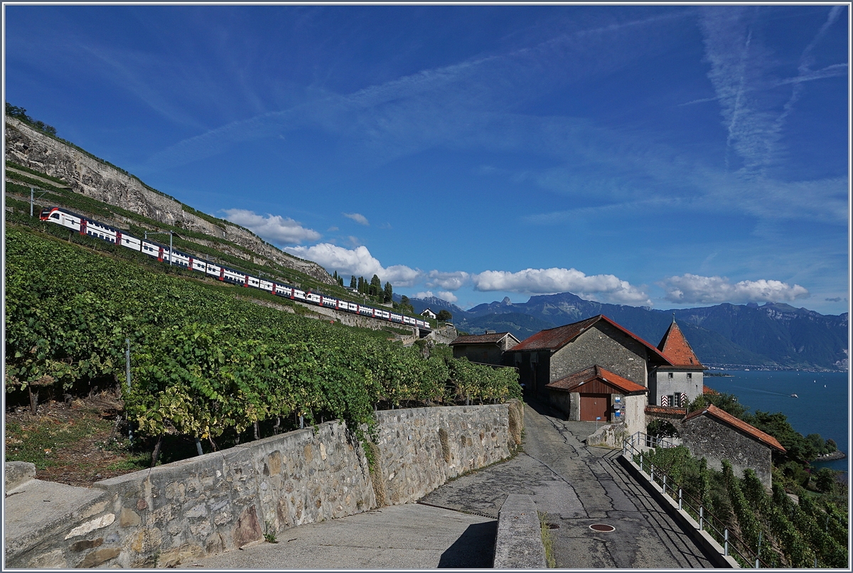 Zwei SBB RABe 511 bilden einen langen Umleitungszug Via die  Tain de Vignes  Strecke im Lauvaux.

26. August 2018 