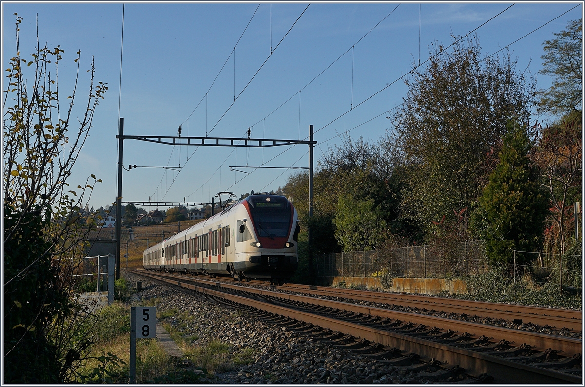 Zwei SBB RABe 523 sind bei Lutry auf dem Weg nach Aigle. 

3. Nov. 2017 