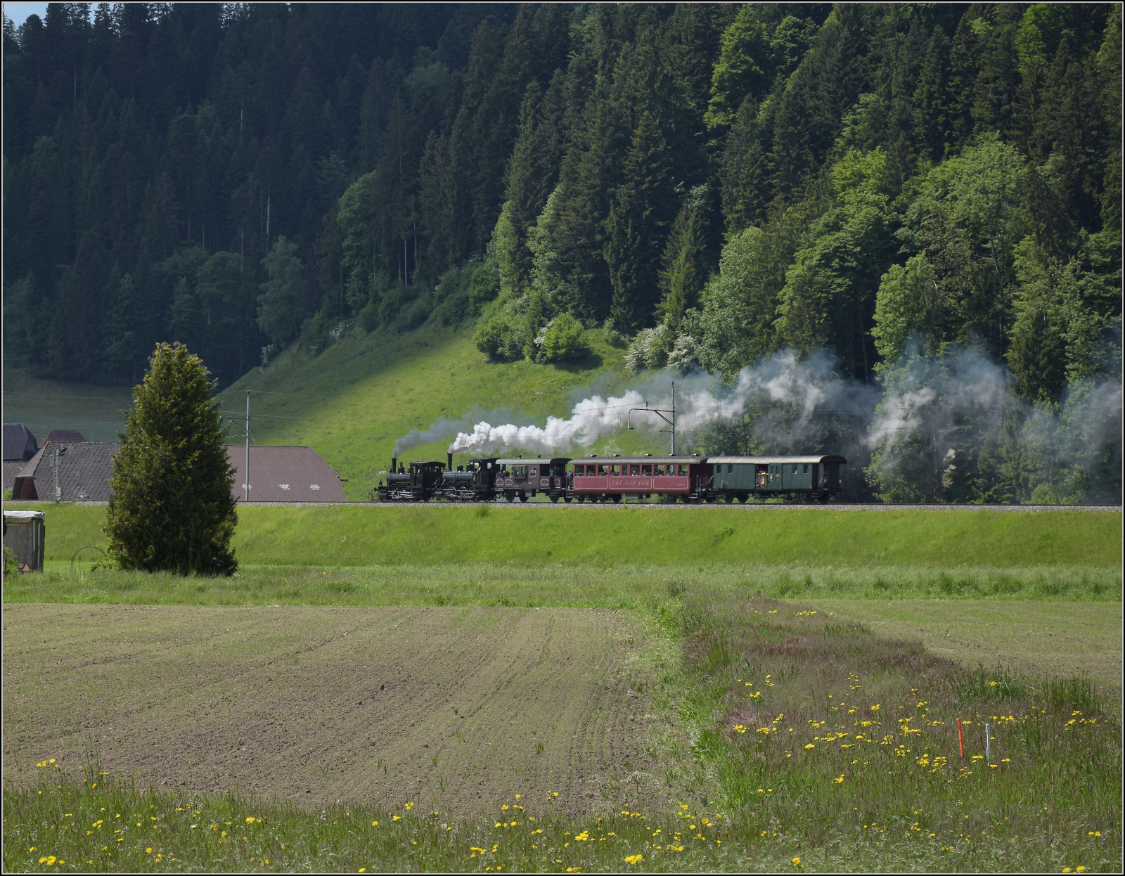 150 Jahre Emmentalbahn. 

E 3/3 853 der Jura-Simplon und Ed 3/3 3 'Langnau' der Emmentalbahn mit ihrem Sonderzug unterwegs auf der Bern-Luzern-Bahn. Sch�pbach, Mai 2025.