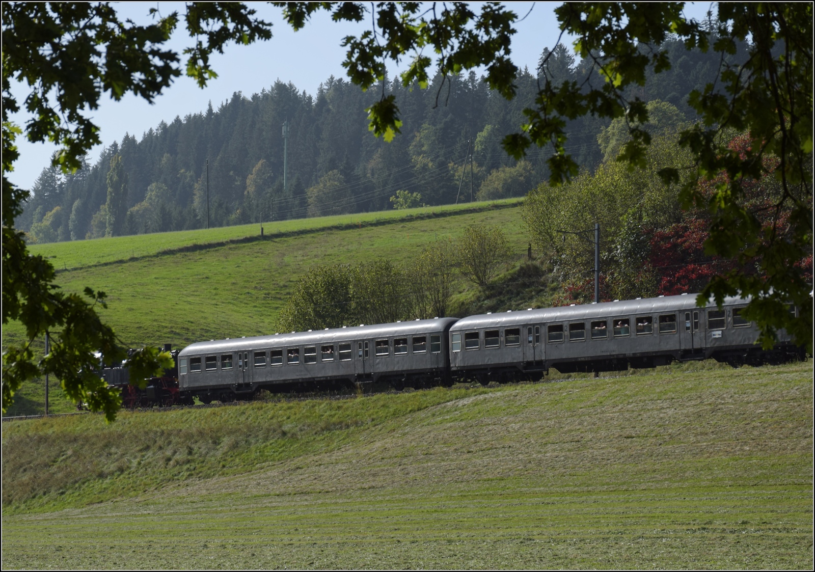 Dampftage Huttwil mit frisch genesenem Bubikopf. 

Auf Stefans Spur-Z-Modellbahnanlage, könnte man meinen. Die beiden Neuheiten, die Silberlinge der Eurovapor, umrahmt von Zweigen geben im Emmental ein wenig Modellbahnatmosphäre wieder. Oktober 2023.