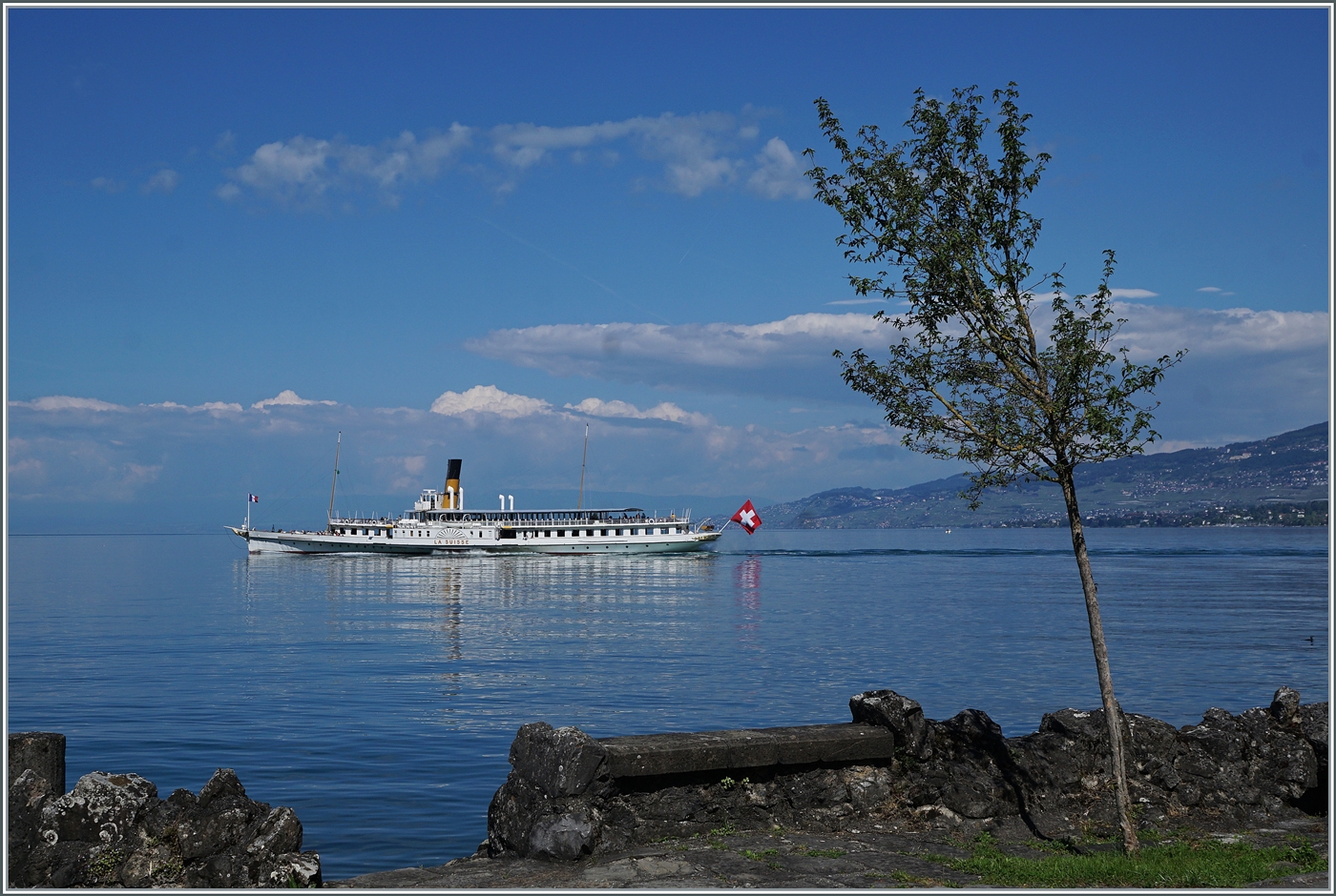 Das CGN Kursschiff  LA SUISSE  auf dem Weg nach Villeneuve. Der Blick gleitetweit über den See westwärts, bis ins Lavaux.

5. Juni 2024