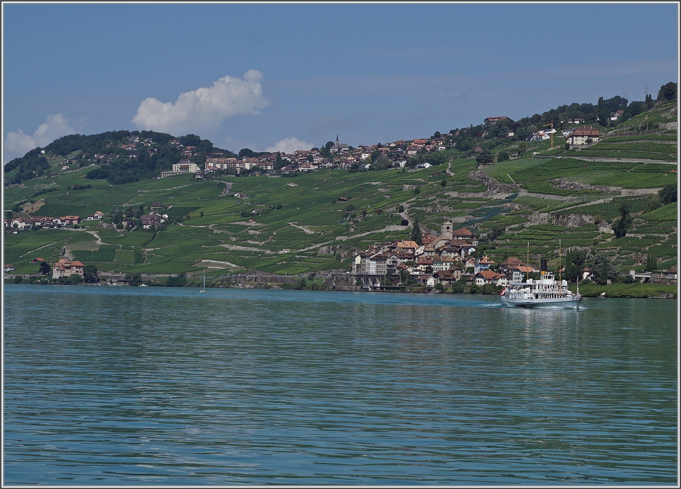 Der CGN Schaufelraddampfer VEVEY vor der Kulisse des Lavaux. 

2. August 2024