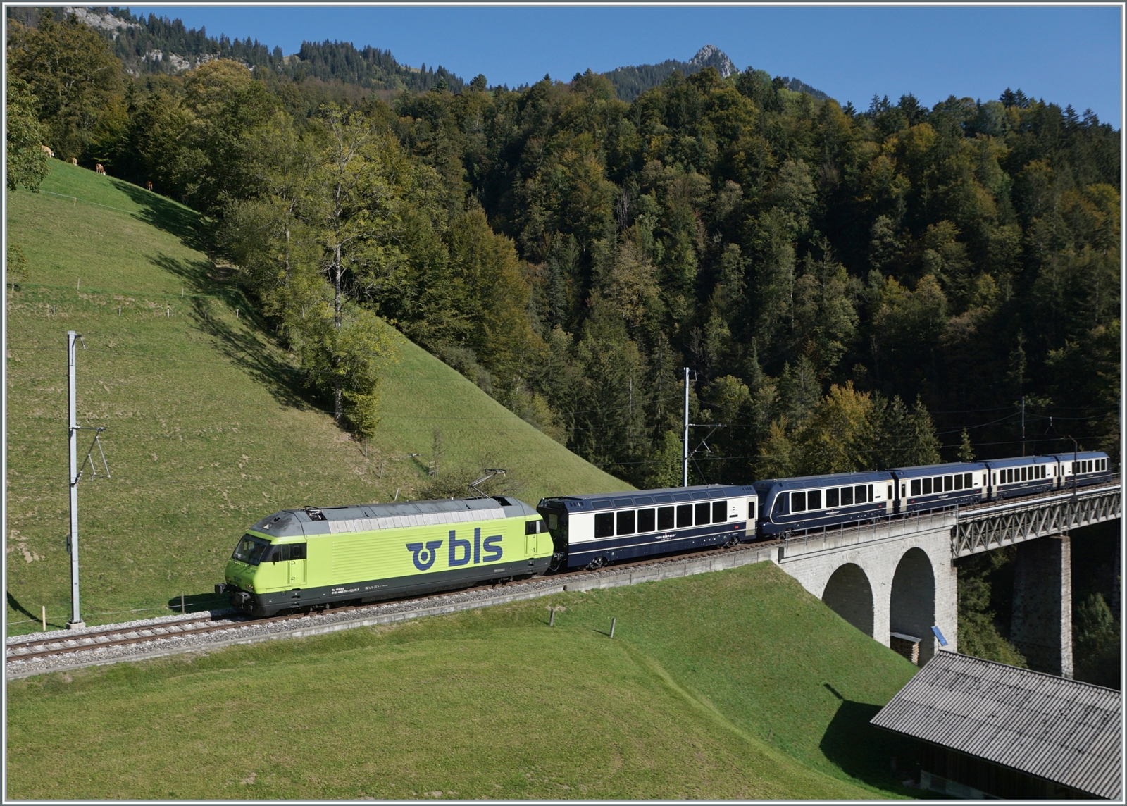 Die BLS Re 465 014 (UIC 91 85 4465 014-9) fährt mit ihrem GoldenPass Express GPX 4069 von Interlaken Ost nach Montreux bei Weissenburg über die Bunschenbach Brücke. Da die übliche Fotostelle etwas weiteroben noch von Kühen genutzt wird, musste ich mich mit dieser hier begnügen. 

7. Okt. 2023