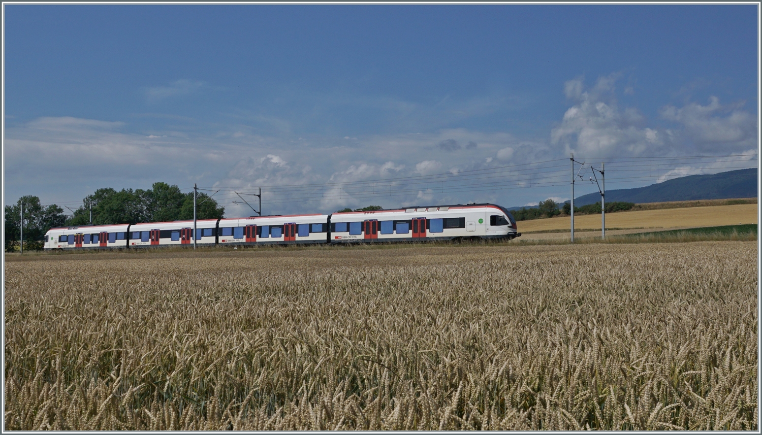 Ein SB RABe 523 ist bei Arnex auf der Fahrt nach Vallorbe. 

4. Juli 2022