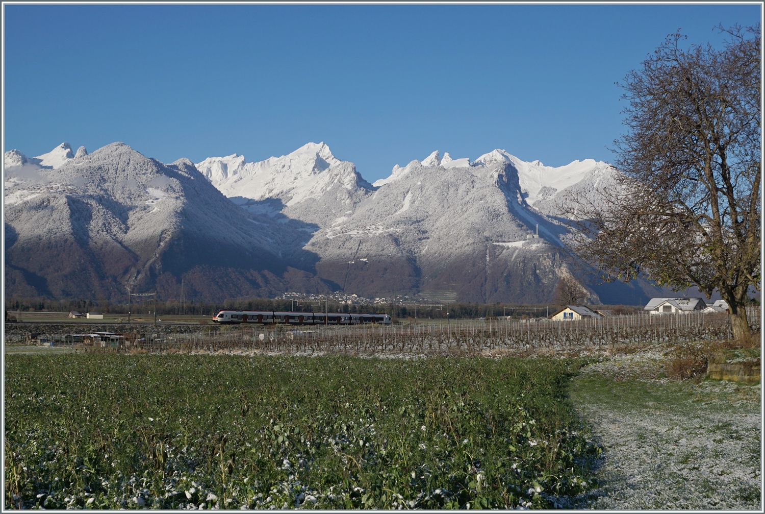 Kurz vor Aigle ist ein SBB RABe 523 auf dem Weg von Le Brassus nach Aigle und zeigt sich vor den verschneiten Walliser Alpen im Chablais.

3. Dez. 2023  