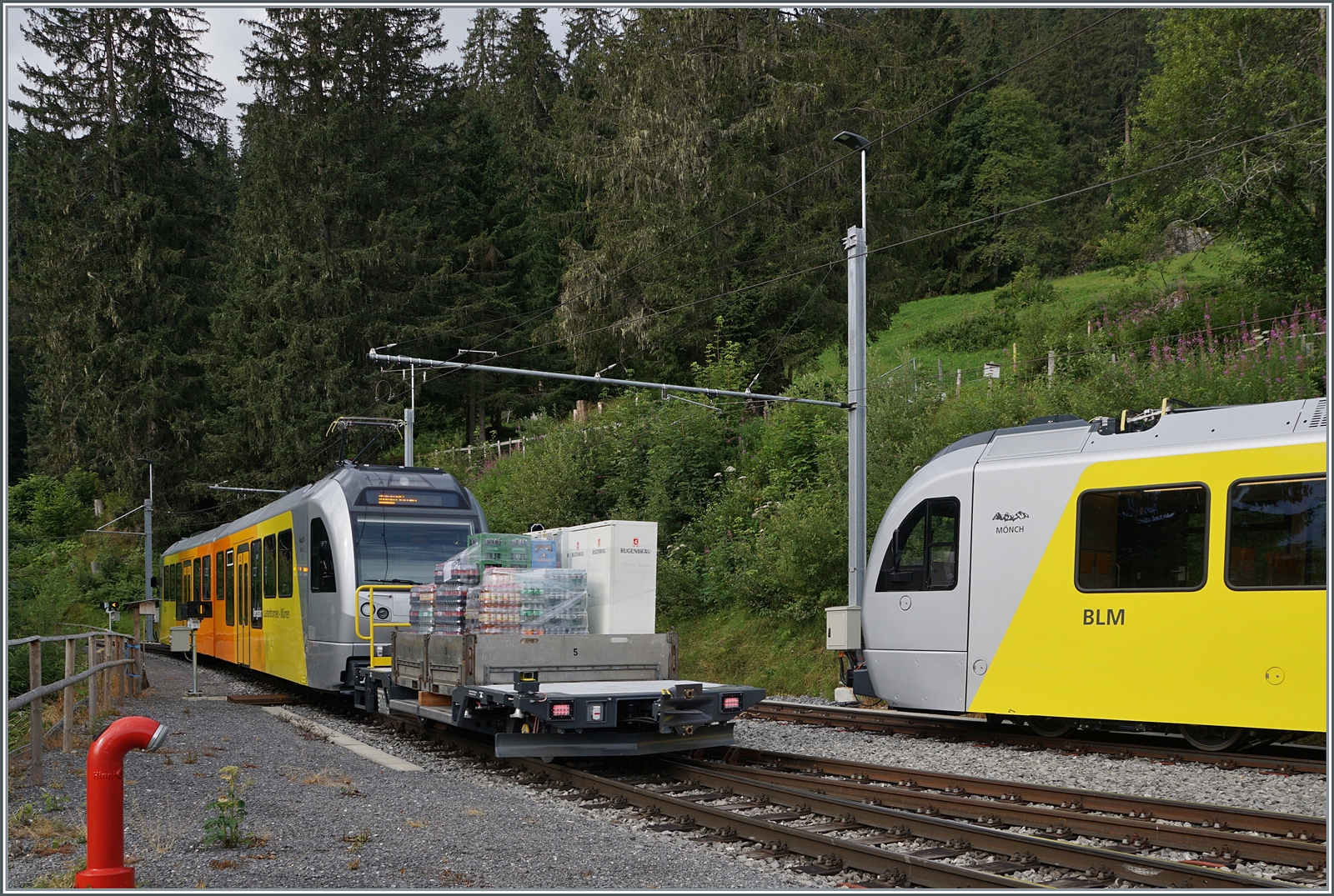 Nach der Abfahrt des Be 4/6 101  Eiger  links im Bild, steht in Grütschalp schon der Be 4/6 102  Mönch  zur Bereitstellung bereit, er wird den bis anhin gefahrenen Halbstundentakt zum Viertelstundentakt ergänzen. 
Wenn dann ab dem Winter die Fahrdrahtspannung erhöht worden ist und die Be 4/6 mit 50 km/h satt wie bisher mit Vmax 30 km/h fahren, genügen zwei Kompositionen (statt der drei wie heute) für die Abdeckung des Fahrplans. 

8. Aug. 2024