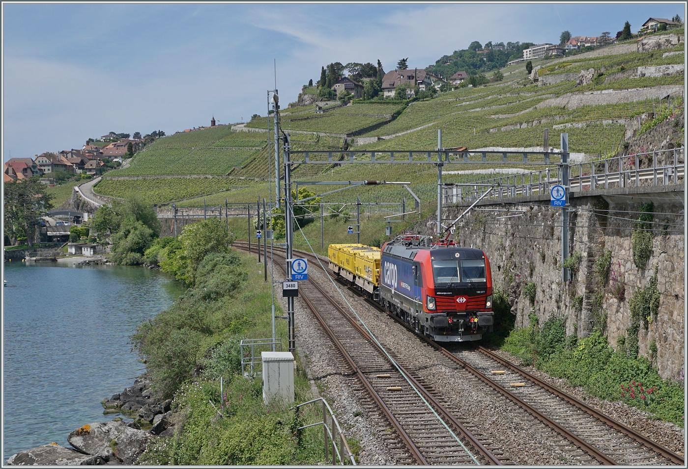 Nach Problemen mit dem ETCS und der Umdisponierung der SBB Cargo Vectroms von Nicht-ETCS-Strecken sind die SBB Cargo Vectroms vereinzelt wieder auf der Simplonlinie zu sehen, wobei sich die 193 077 in Rivaz mit ihren drei Wagen nicht über zu viel Arbeit beklagen kann. 

19. Mai 2025