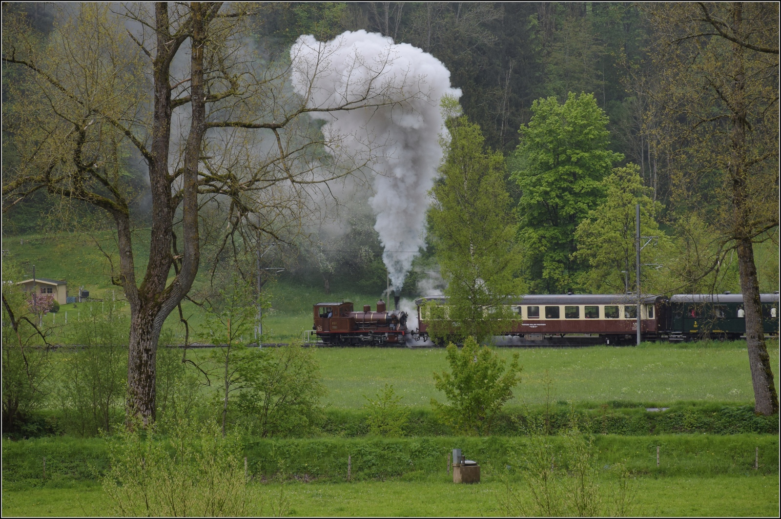 Vapeur Val-de-Travers: Train  Au fil de l'Areuse .

Nach einem kurzen Halt in La Presta gibt E 3/3 8511 wieder alles für die nächste Etappe. Mai 2023.