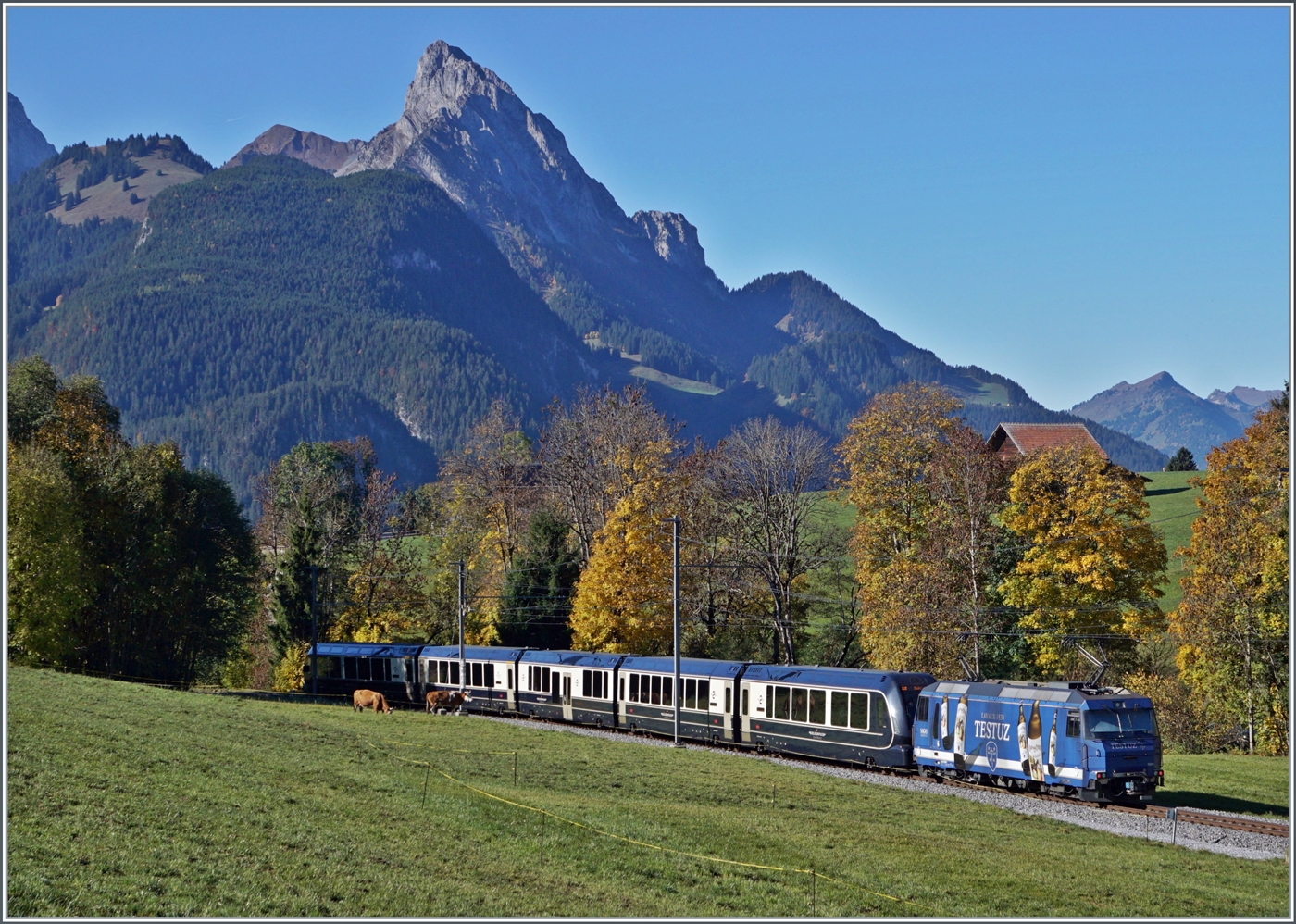 Zwischen Schönried und Gruben konnte ich den MOB/BLS GoldenPass Express PE 4068 auf der Fahrt von Interlaken Ost nach Montreux kurz nach Schönried fotografieren. Da bei allen GPX Zügen auf dem Schmalspurabschnitt die Lok jeweils Seite Zweisimmen eingereiht ist, hoffte ich bei den Schleifen oberhalb von Gstaad eine passende Fotostelle zu finden, stellte aber fest, dass dies gar nicht so einfach war. Zudem sind durch den straken Besucherandrang verständlicherweise viel Wege oder Zugänge gesperrt. 13. Oktober 2025