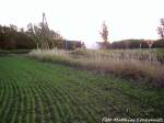 Am 27.10.12 ist 03 1010 unterwegs nach Bergen auf R�gen / Hier Bei Pastitz (OT Putbus