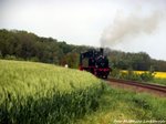 91 134 unterwegs nach Bergen auf R�gen am 22.5.16