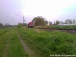 112 565-7 (DB 202 565-8) als Schlusslicht unterwegs nach Lauterbahc Mole / Hier kurz vor dem Haltepunkt Lauterbach (R�genn) am 11.5.13