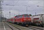 Die DB 218 429-9 verlässt Singen (Htw) mit ihrem RE 3 3057 von Basel Bad Bf nach Friedrichshafen-Hafen. In der Regel sind in diesen Umläufen DB 245 eingeteilt und so freute ich mich sehr doch noch eine 218 im Planbetriebe sehen zu können. 

15. März 2025