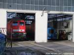 232 238 und V15 in der Leichtbauhalle der LEG in Delitzsch am 19.11.15